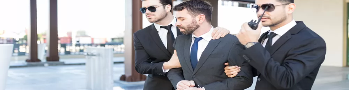 White-Collar Criminals