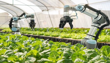Greenhouse Automation Systems