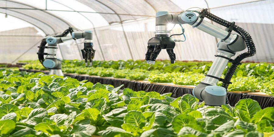 Greenhouse Automation Systems