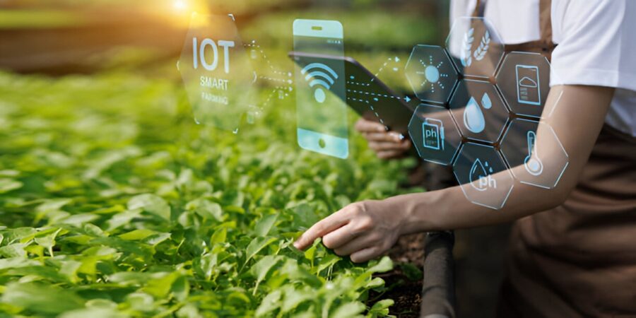 Smart garden technology
