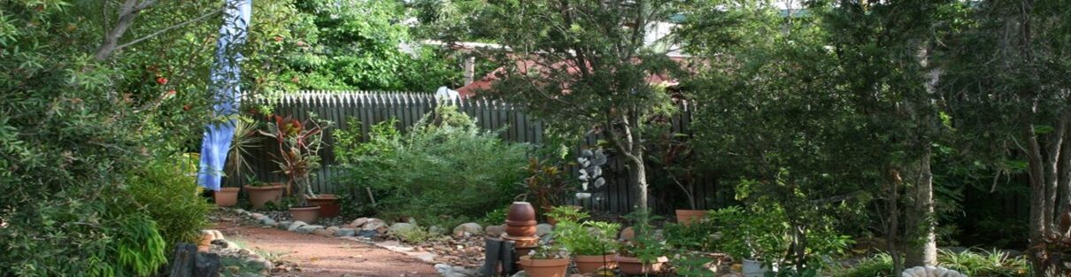 Bird friendly garden ideas
