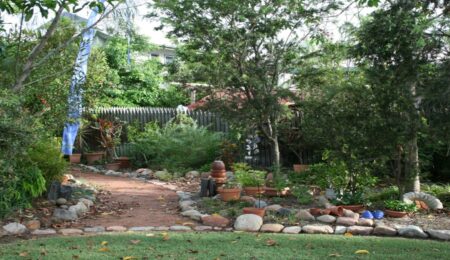 Bird friendly garden ideas