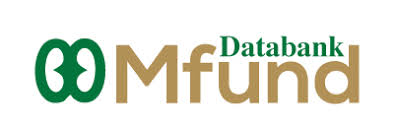 Research Financial Analyst Job in Ghana | Databank Group